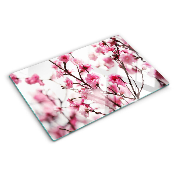 Schneidebrett glas Kirschblüten in voller Blüte