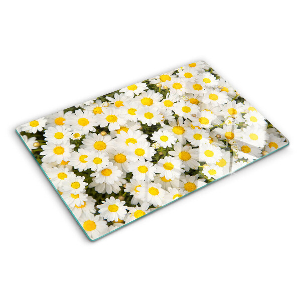 Glas Schneidebrett mit Gänseblümchen auf weißem Hintergrund