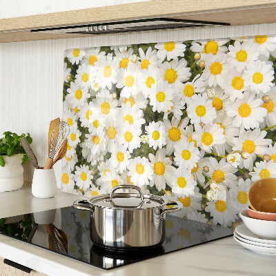 Glas schneidebrett Gänseblümchen auf weißem Hintergrund