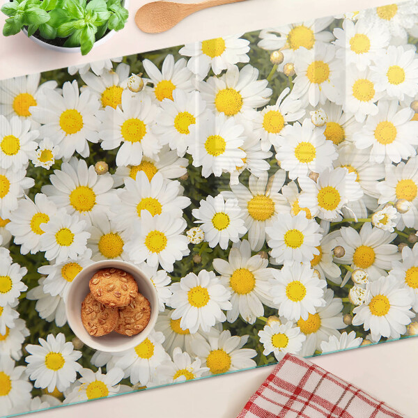 Glas Schneidebrett mit Gänseblümchen auf weißem Hintergrund