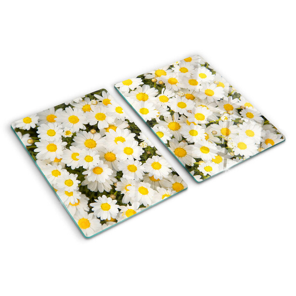 Glas Schneidebrett mit Gänseblümchen auf weißem Hintergrund