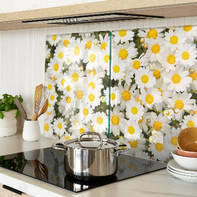 Glas Schneidebrett mit Gänseblümchen auf weißem Hintergrund