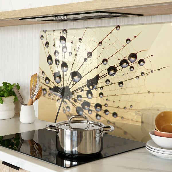 Schneidebrett Wassertropfen auf einem Spinnennetz