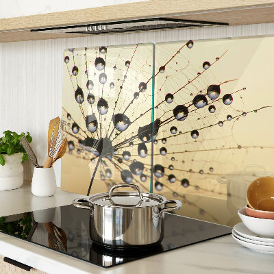 Schneidebrett Wassertropfen auf einem Spinnennetz