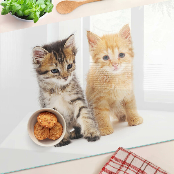 Schneidebrett glas Katzen auf weißem Hintergrund