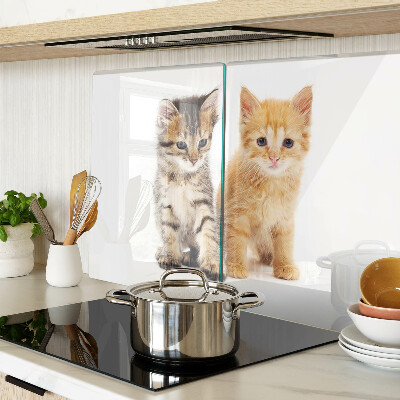 Schneidebrett glas Katzen auf weißem Hintergrund