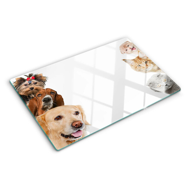 Glas schneidebrett Hunde und Katzen in verschiedenen Posen