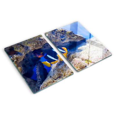 Glas schneidebrett Fische in einem Korallenriff