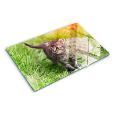 Glas schneidebrett Katze auf dem Rasen