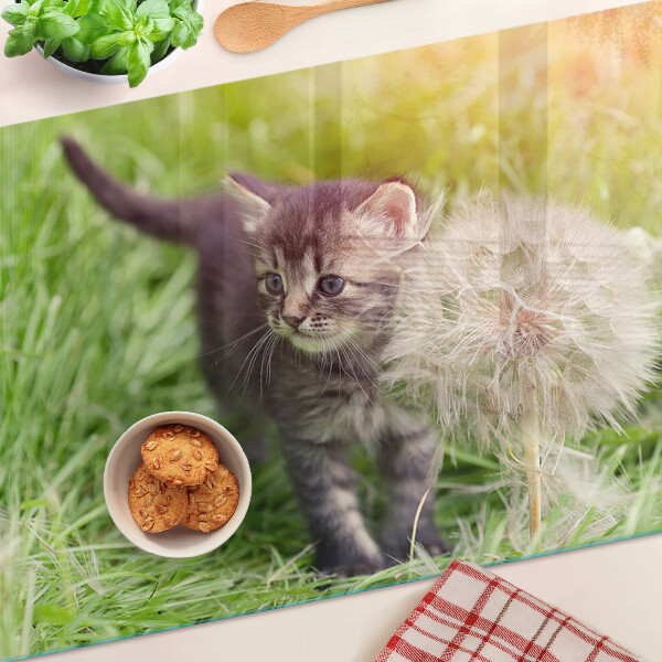 Glas schneidebrett Katze auf dem Rasen