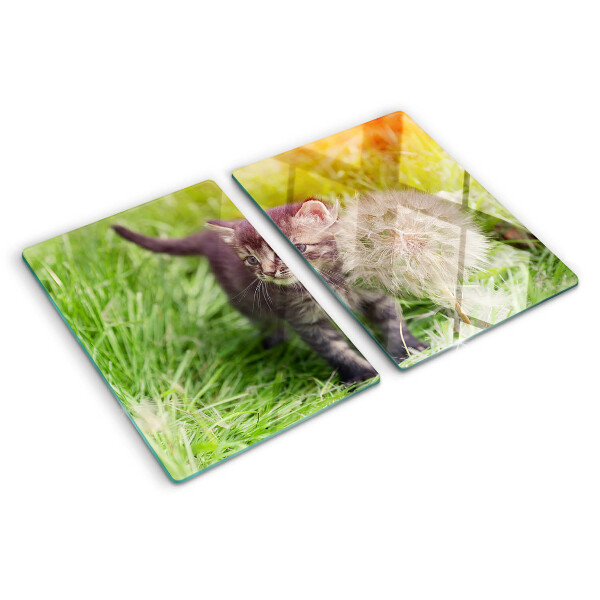 Glas schneidebrett Katze auf dem Rasen