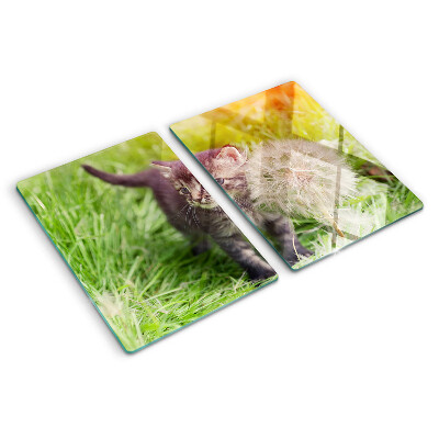 Glas schneidebrett Katze auf dem Rasen