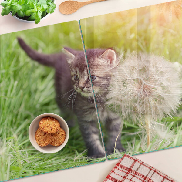 Glas schneidebrett Katze auf dem Rasen