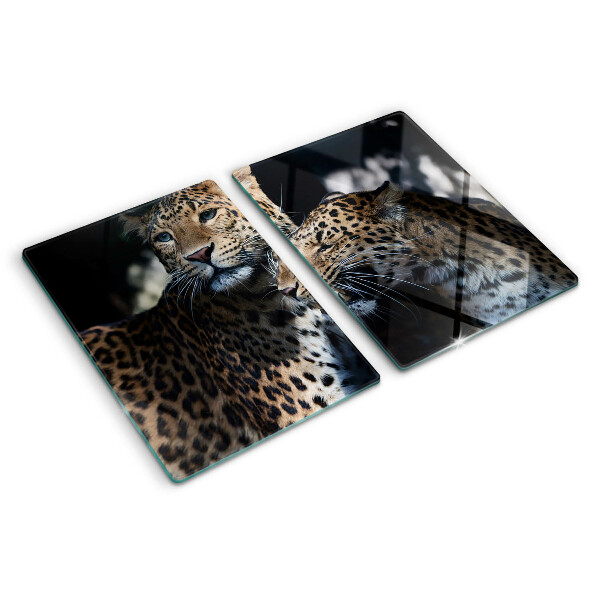 Schneidebrett glas Geparden vor dunklem Hintergrund