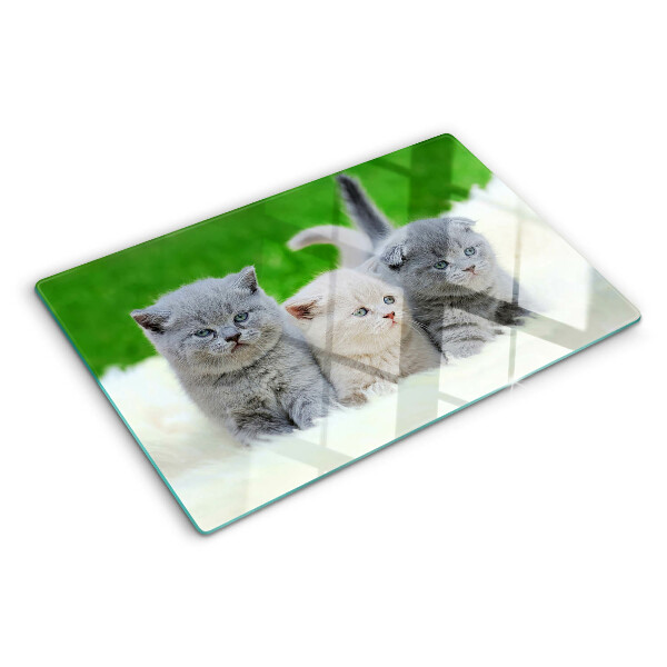 Glas schneidebrett Kätzchen auf grünem Hintergrund