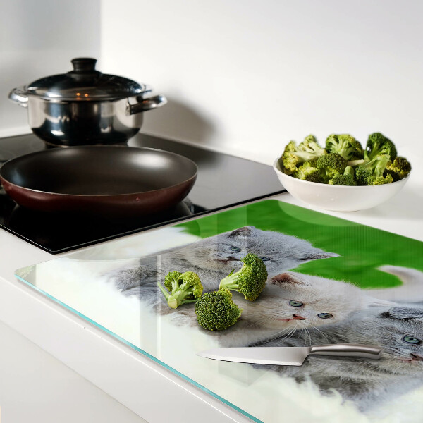 Glas schneidebrett Kätzchen auf grünem Hintergrund