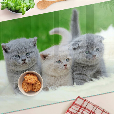 Glas schneidebrett Kätzchen auf grünem Hintergrund