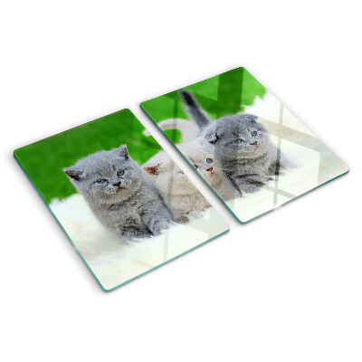 Glas-Schneidebrett mit Kätzchen-Motiv auf grünem Hintergrund