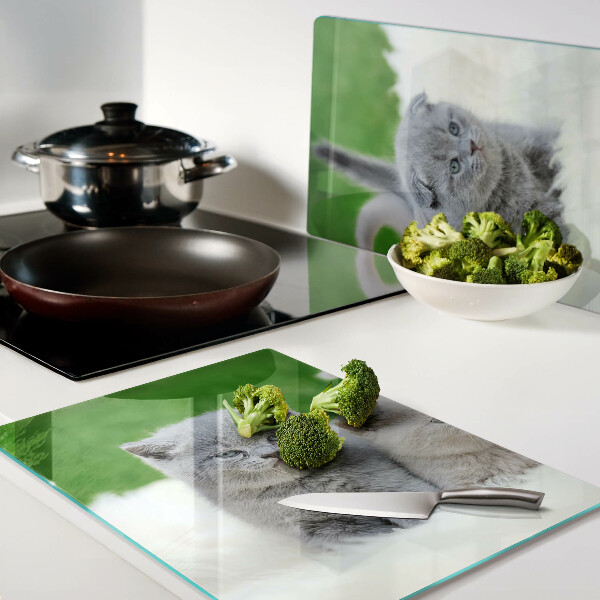 Glas schneidebrett Kätzchen auf grünem Hintergrund