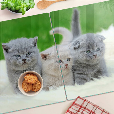 Glas-Schneidebrett mit Kätzchen-Motiv auf grünem Hintergrund