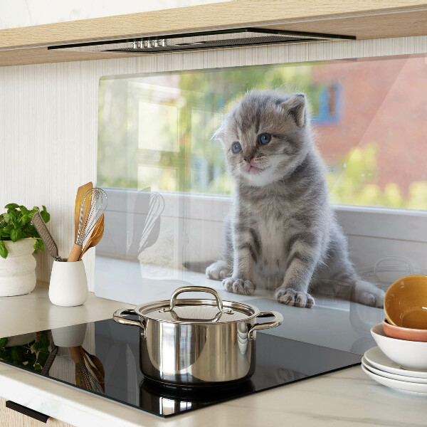 Schneidebrett glas Ein Kätzchen auf der Fensterbank