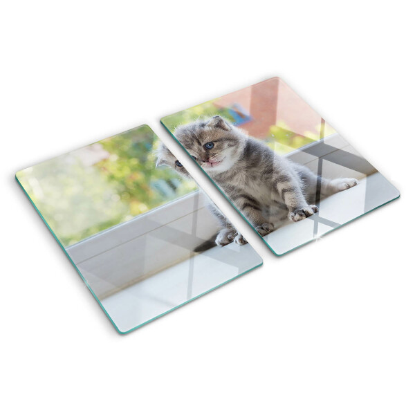 Schneidebrett glas Ein Kätzchen auf der Fensterbank