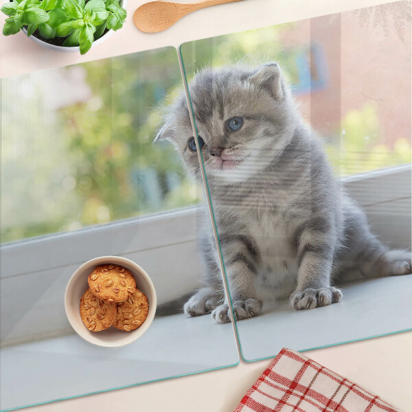 Schneidebrett glas Ein Kätzchen auf der Fensterbank