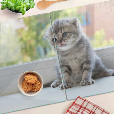 Schneidebrett glas Ein Kätzchen auf der Fensterbank