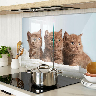 Schneidebrett mit Motiv von drei braunen Katzen