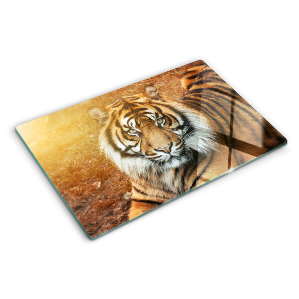 Glas schneidebrett Tiger in den Sonnenstrahlen
