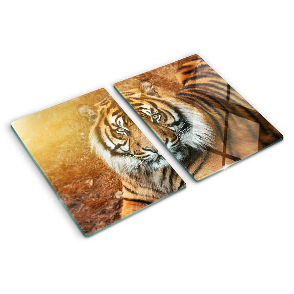 Glas schneidebrett Tiger in den Sonnenstrahlen