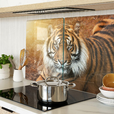 Glas schneidebrett Tiger in den Sonnenstrahlen