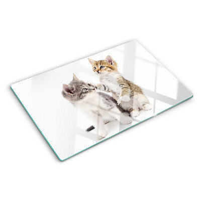 Glas-Schneidebrett mit Katzenmotiv auf weißem Hintergrund
