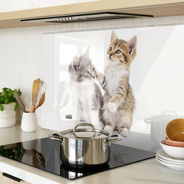 Glas-Schneidebrett mit Katzenmotiv auf weißem Hintergrund