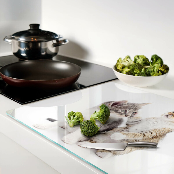 Glas-Schneidebrett mit Katzenmotiv auf weißem Hintergrund