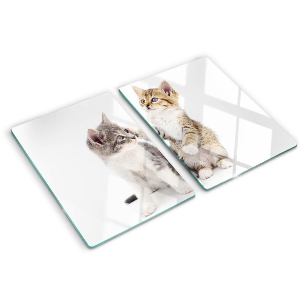 Glas-Schneidebrett mit Katzenmotiv auf weißem Hintergrund