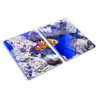 Schneidebrett Clownfische zwischen den Felsen