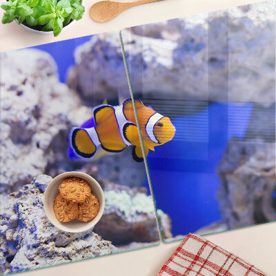 Schneidebrett Clownfische zwischen den Felsen