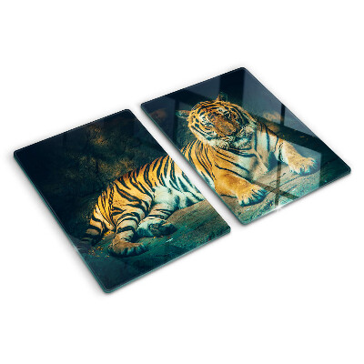 Glas schneidebrett Tiger liegt auf den Felsen