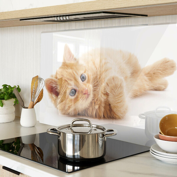Schneidebrett Rotes Kätzchen vor weißem Hintergrund