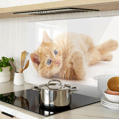 Schneidebrett Rotes Kätzchen vor weißem Hintergrund