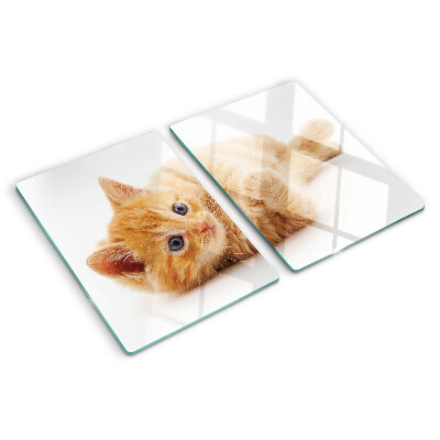 Schneidebrett Rotes Kätzchen vor weißem Hintergrund