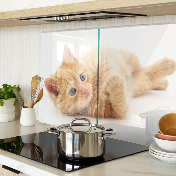 Schneidebrett Rotes Kätzchen vor weißem Hintergrund