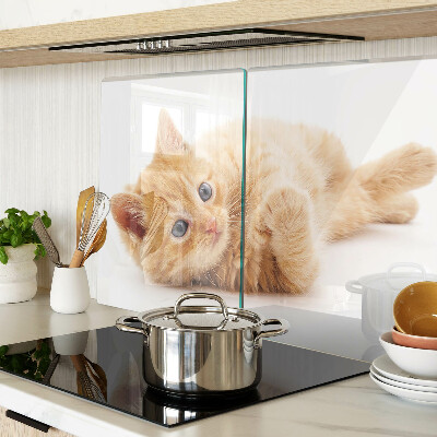 Schneidebrett Rotes Kätzchen vor weißem Hintergrund