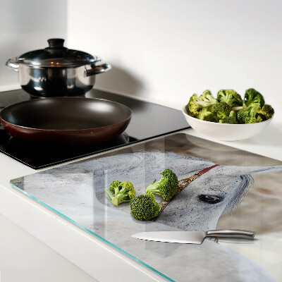 Schneidebrett glas Weißes junges Pferd