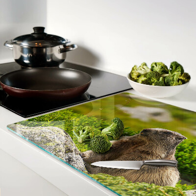 Glas schneidebrett Murmeltier vor grünem Grashintergrund