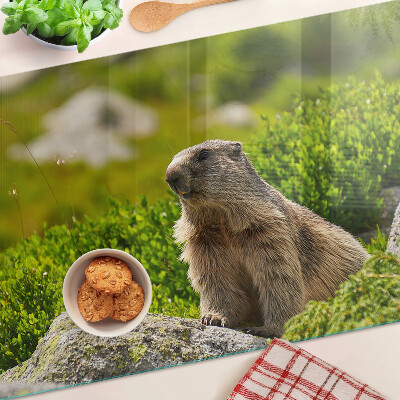 Glas schneidebrett Murmeltier vor grünem Grashintergrund