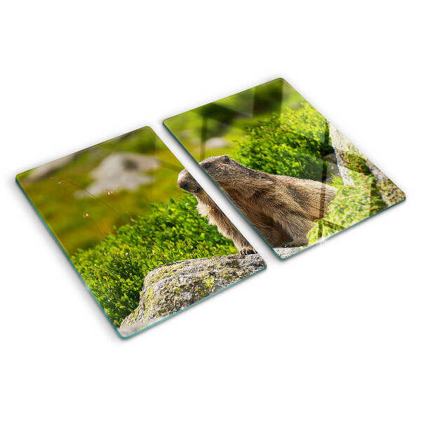 Glas Schneidebrett mit einem Murmeltier vor grünem Grashintergrund