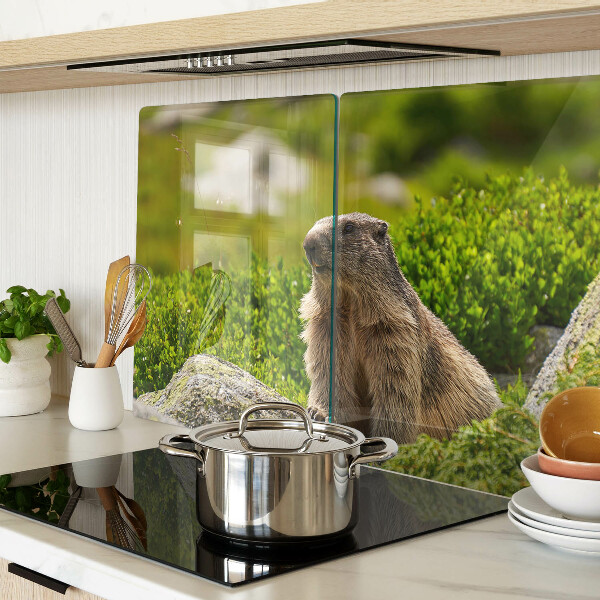 Glas schneidebrett Murmeltier vor grünem Grashintergrund