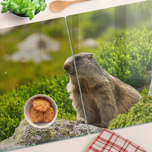Glas Schneidebrett mit einem Murmeltier vor grünem Grashintergrund